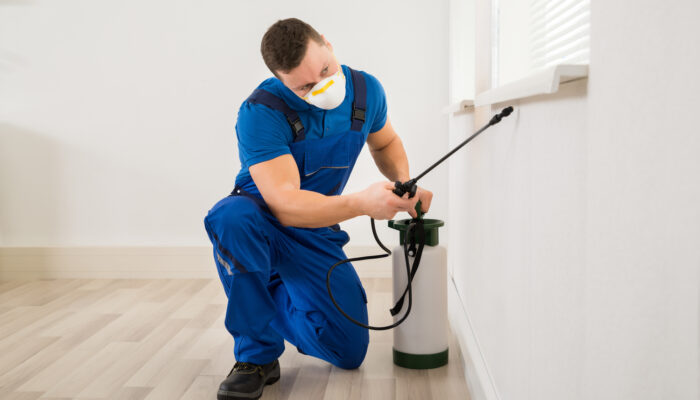 Pest Control &#8211; Types, Cost, And Top Services