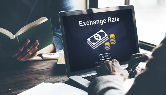 Exchange Rates &#8211; Its Causes and Impact