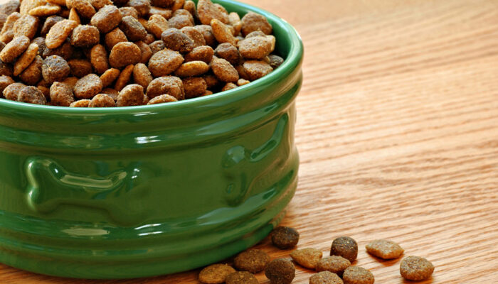 How to Choose the Best Dry Food for Dogs