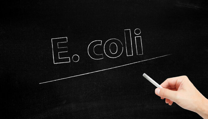 Things to Know About E. Coli Infections and UTI