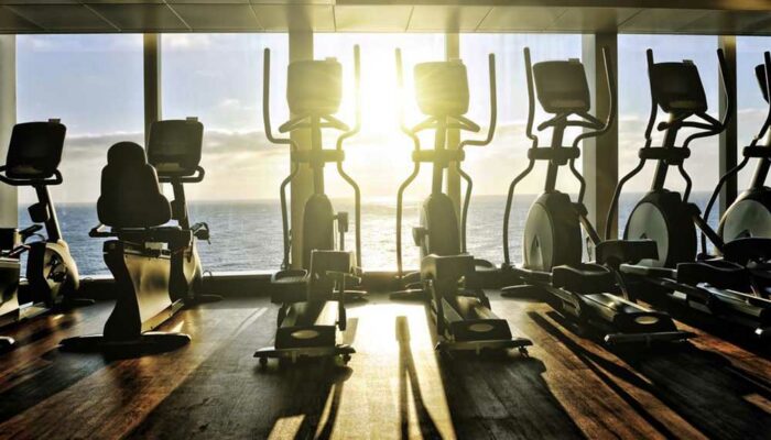 4 best elliptical machines in 2021