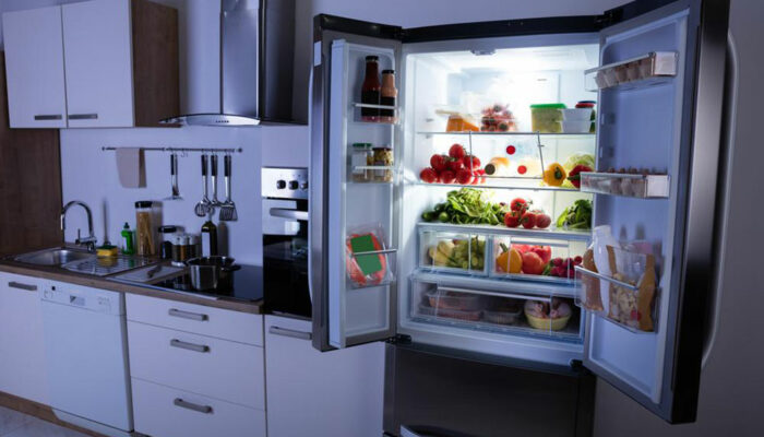 4 useful refrigerator replacement parts