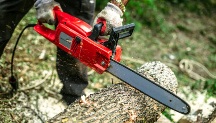 5 Best Chainsaw Brands You Should Buy