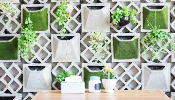 5 Ideas for a Small Garden at Home