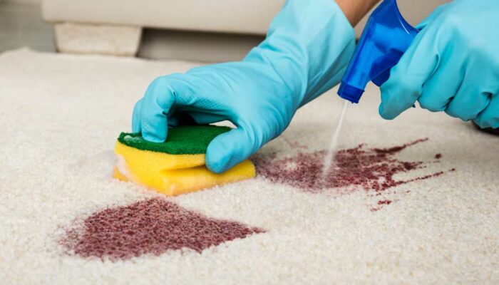 5 Popular Carpet Stain Removers to Choose From