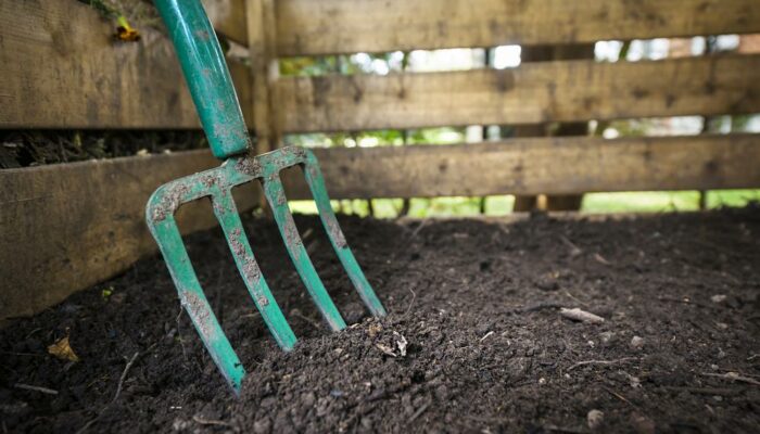 5 Reasons Why You Need a Compost Caddy