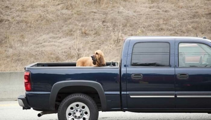 5 Top-Rated Truck Bed Covers to Choose From