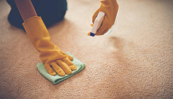 5 benefits of carpet cleaning services 