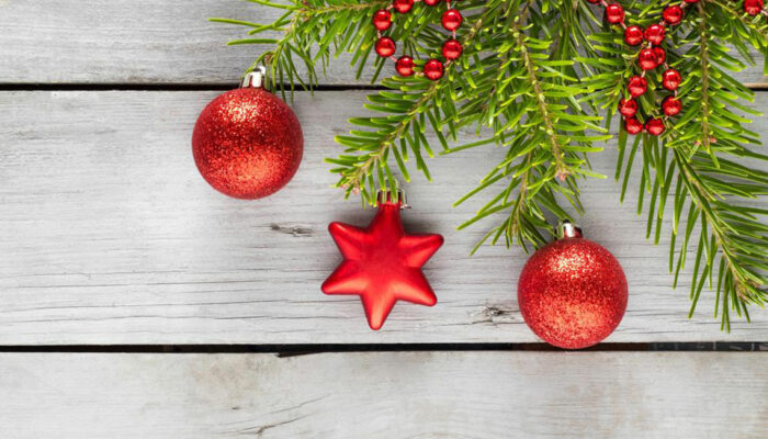 5 best Christmas ornaments you can buy this festive season