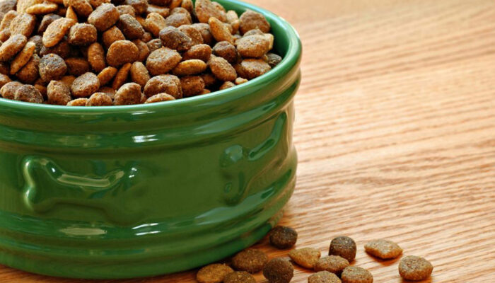 5 best dog foods that are great for your allergic pet