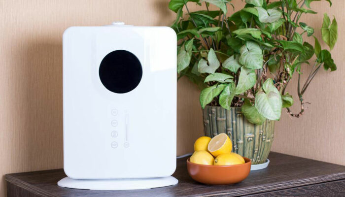 5 best home air purifiers