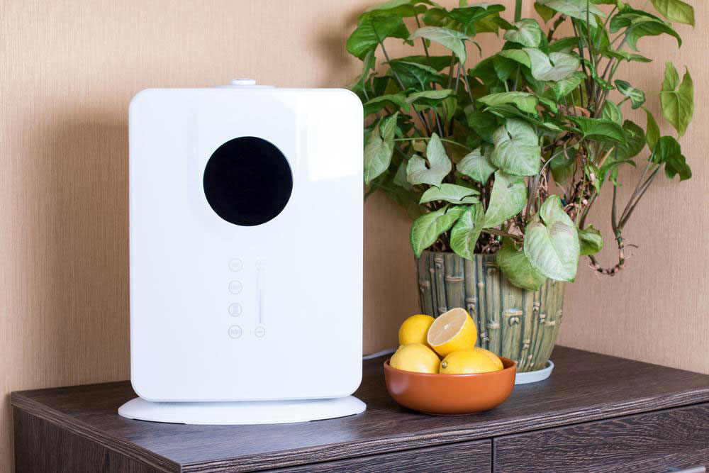 5 best home air purifiers