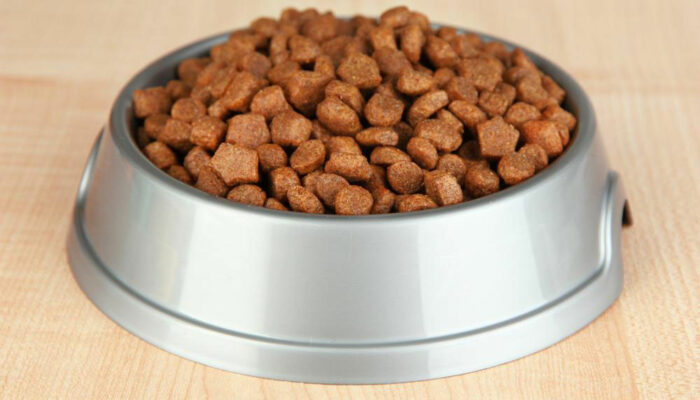 5 scrumptious weight-loss dog foods for your overweight canine