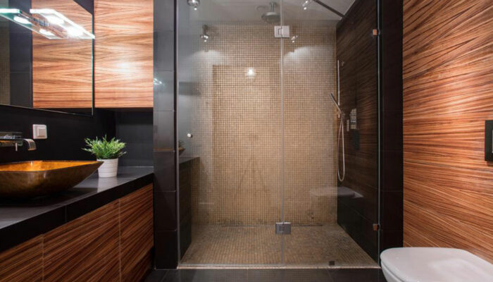 5 significant benefits of walk-in showers for seniors