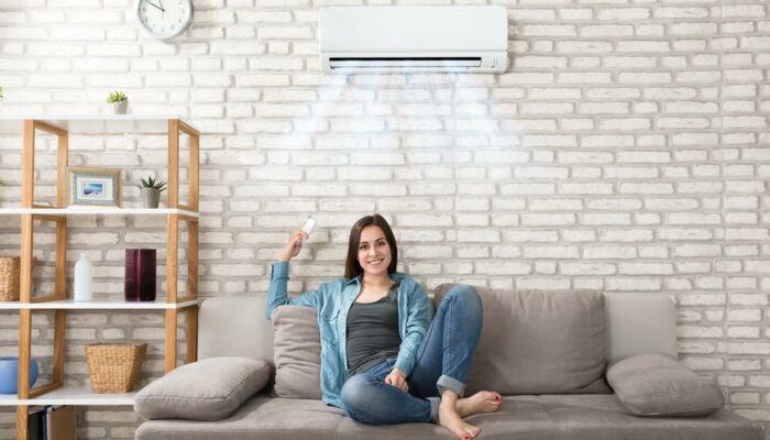 6 Popular Air Conditioners That Can Beat The Heat