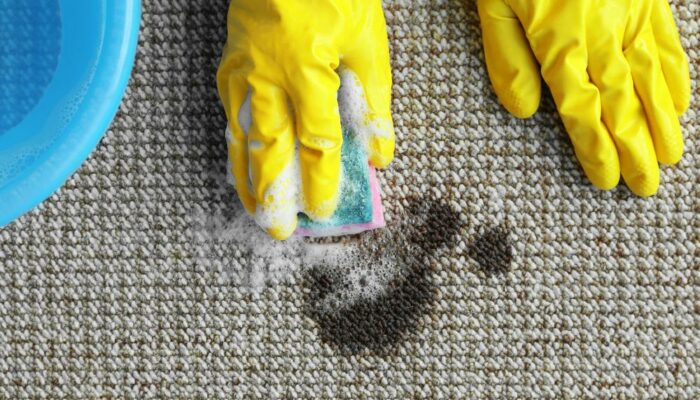 6 easy ideas for best carpet stain removers