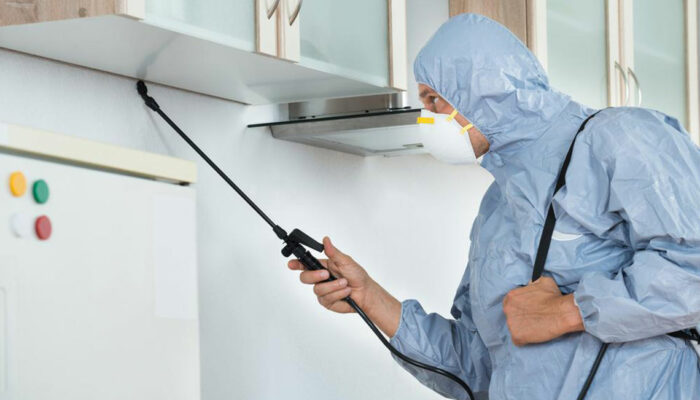 6 factors to consider before selecting a pest control company