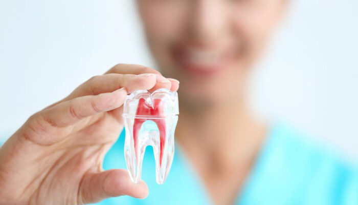 6 things to check before you visit the dentist