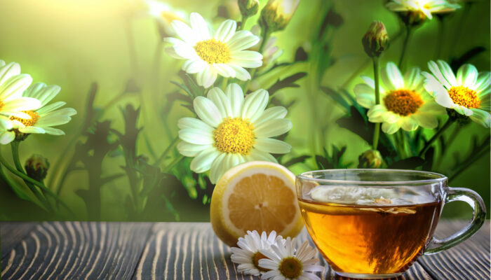 7 Reasons Why Chamomile Tea Is The Effective Lifesaver