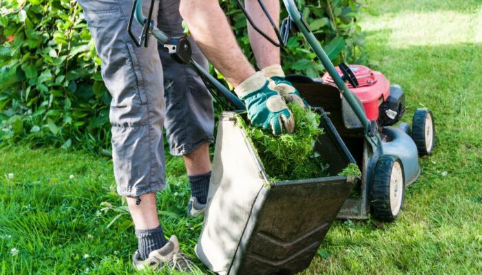 7 Tips to Get the Most from Your Garden Shredder