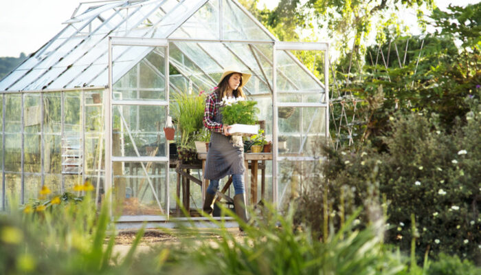 7 tips for the beginner greenhouse gardener