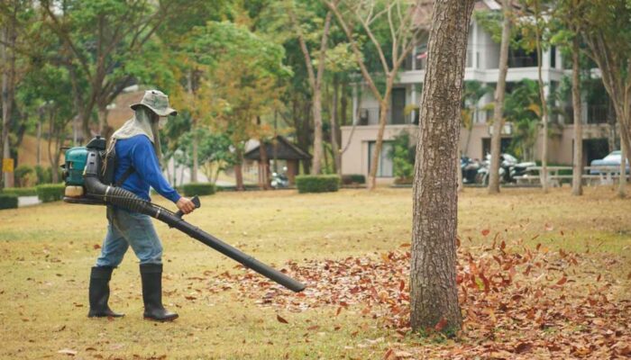 3 Popular Leaf Blowers to Choose From