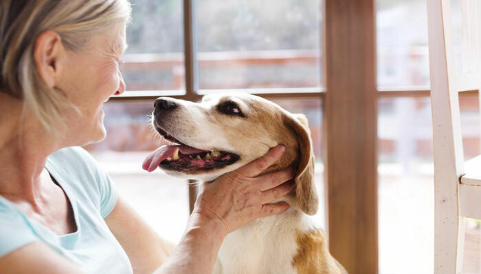 3 popular colleges that have incredible pet houses