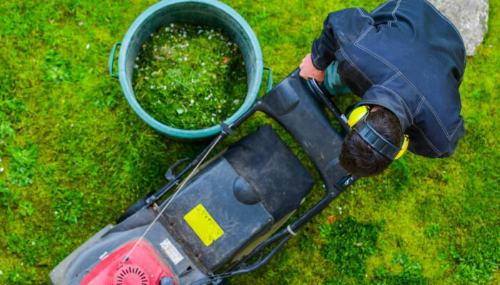 3 popular lawn equipment tools from Stihl