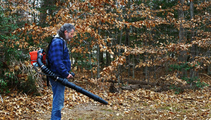 3 popular leaf blowers to clean up your yard with ease