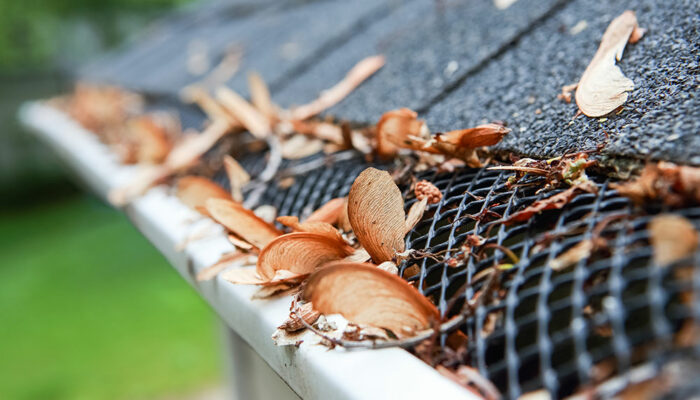 3 types of rain gutter guards that are worth checking out