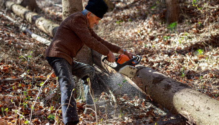 A Guide to Buying the Right Chainsaw