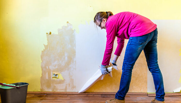 A basic guide to tackling water damage and undertaking repairs