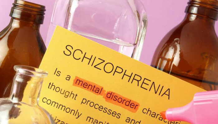 A brief overview of schizophrenia