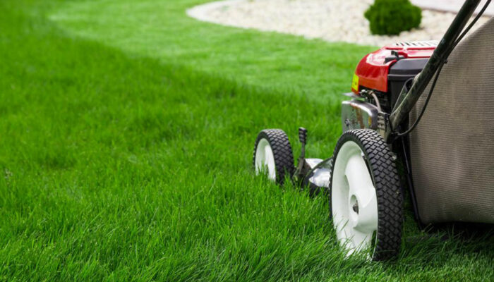 All you need to know about lawn mowers