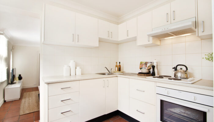 All You Need To Know About Kitchen Cabinets