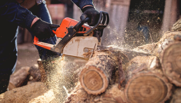 All You Need to Know When You Buy Chainsaws