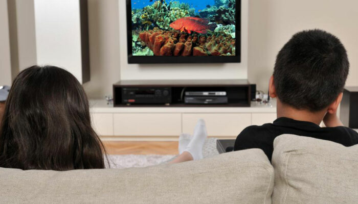 An Introduction to Smart TVs