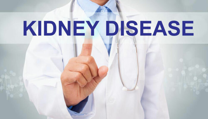 An overview of 4 common kidney disorders