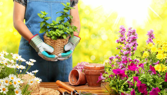 An overview of home-based gardening business