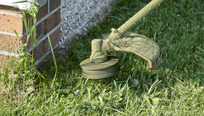 Avoid the growth of weeds using these simple steps