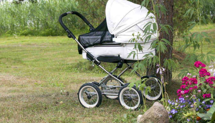 Baby strollers-A highly useful asset for your little one