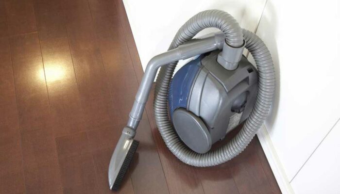 Best Dyson Vacuums for Every Household