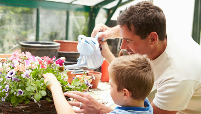 Best plants to grow in a greenhouse