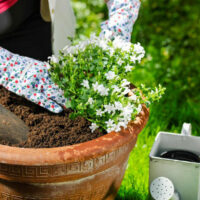 Build your own large garden planter