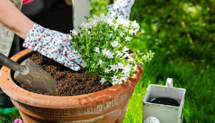 Build your own large garden planter