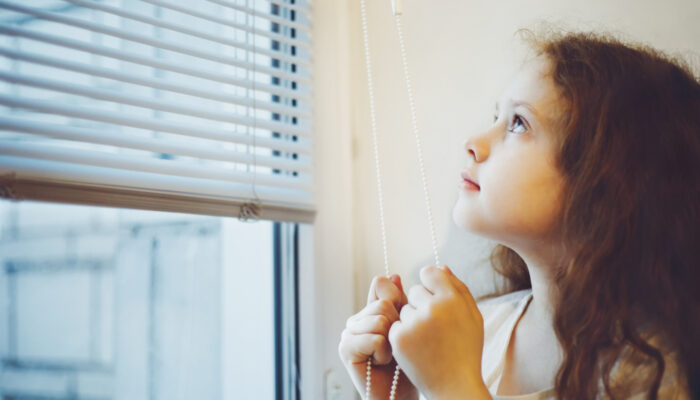 Choose Window Blinds From a Wide Range of Varieties