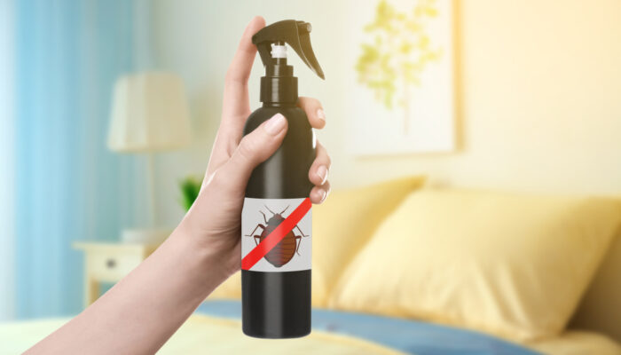 Control Bed Bugs with Effective Sprays