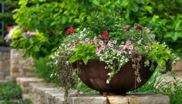 Creative garden planter ideas