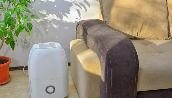 Dehumidifier buying guide