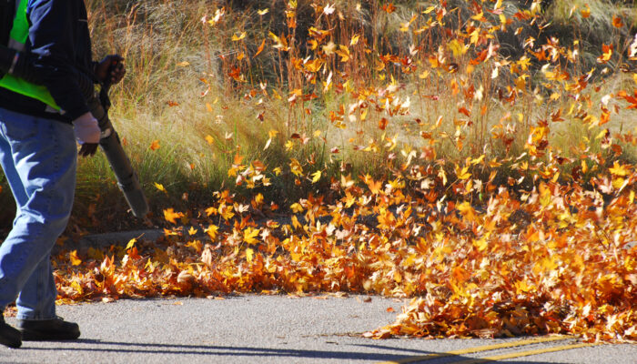 Different Types of Gas Leaf Blowers